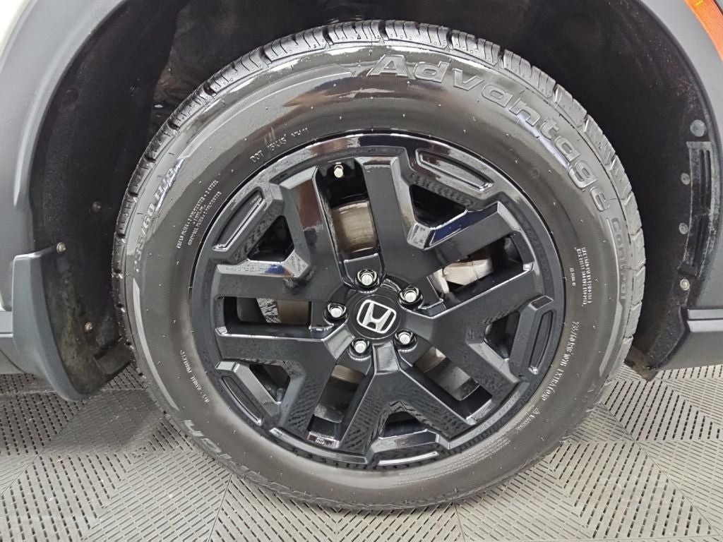 2025 Honda CR-V EX-L