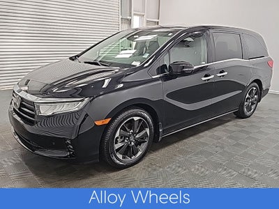 2024 Honda Odyssey Elite