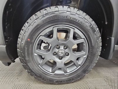 2026 Honda Pilot TrailSport