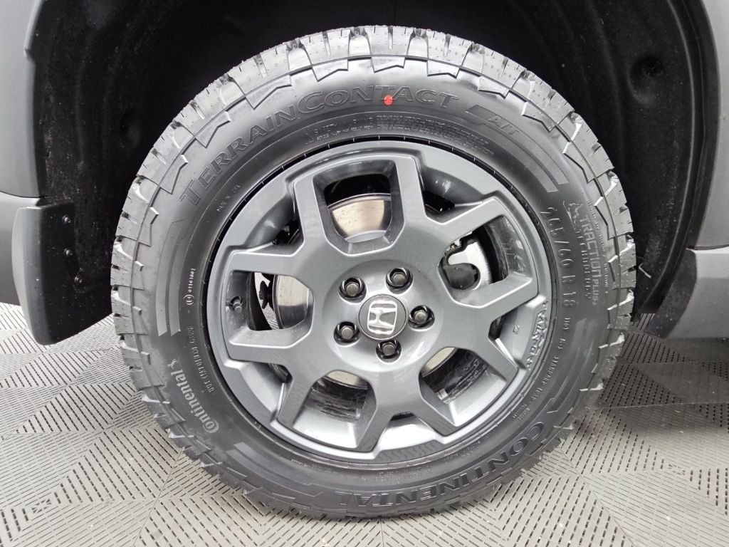 2026 Honda Pilot TrailSport