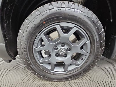 2026 Honda Pilot TrailSport