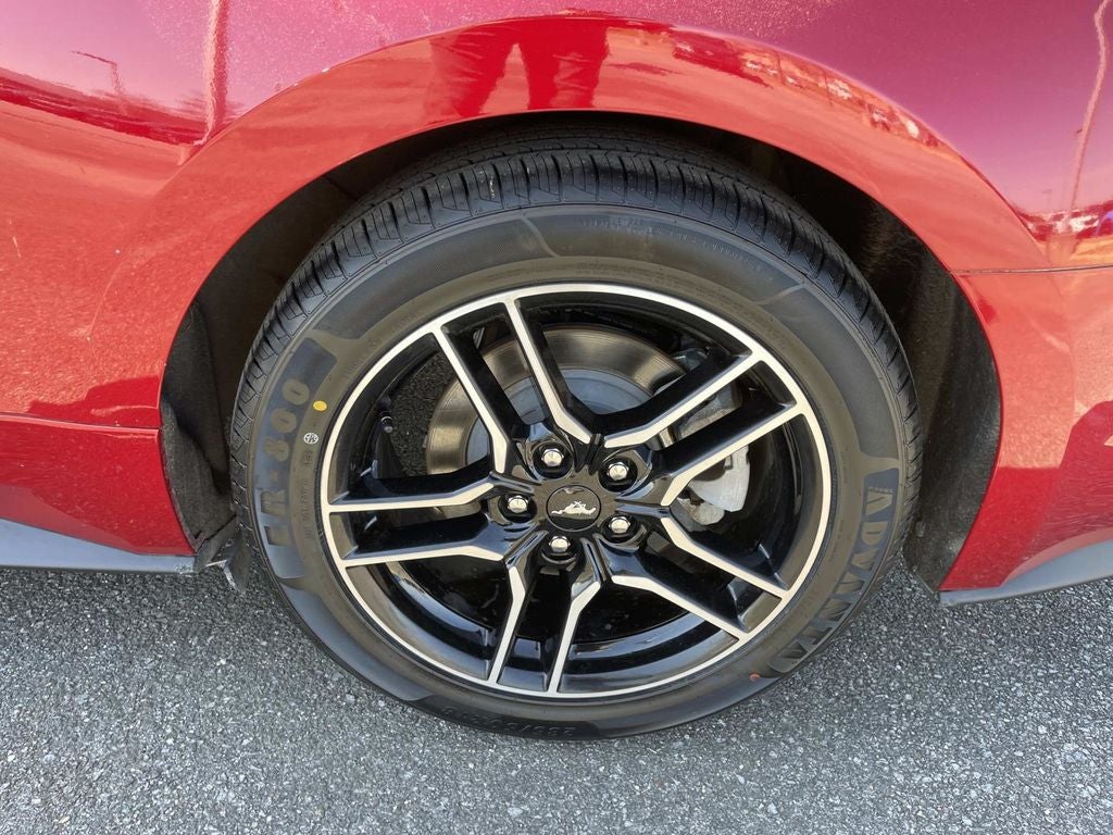 2022 Ford Mustang EcoBoost