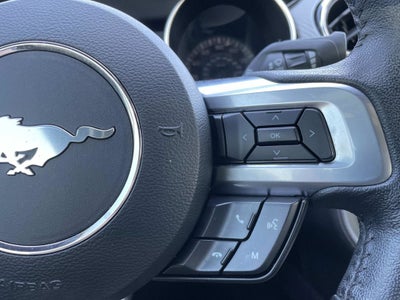 2022 Ford Mustang EcoBoost